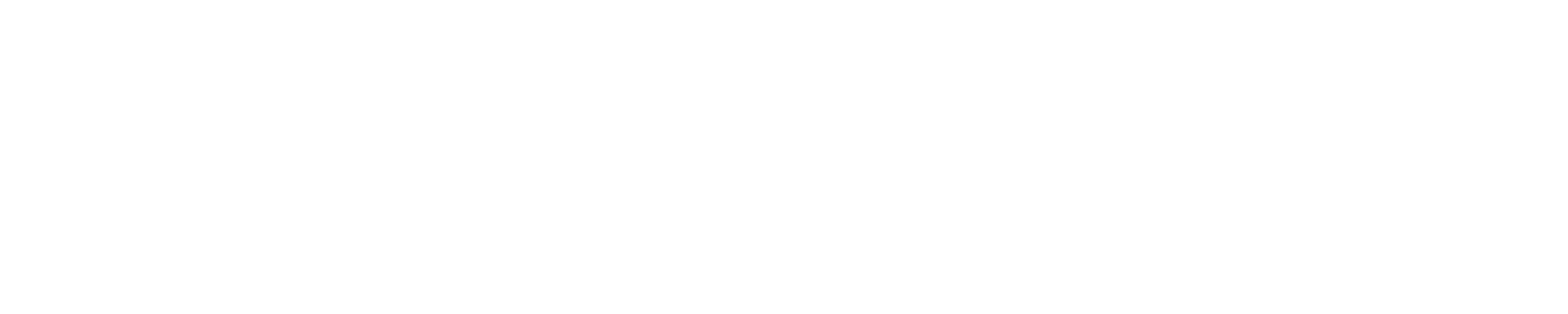 Lex Point Advocats logo horitzontal 2